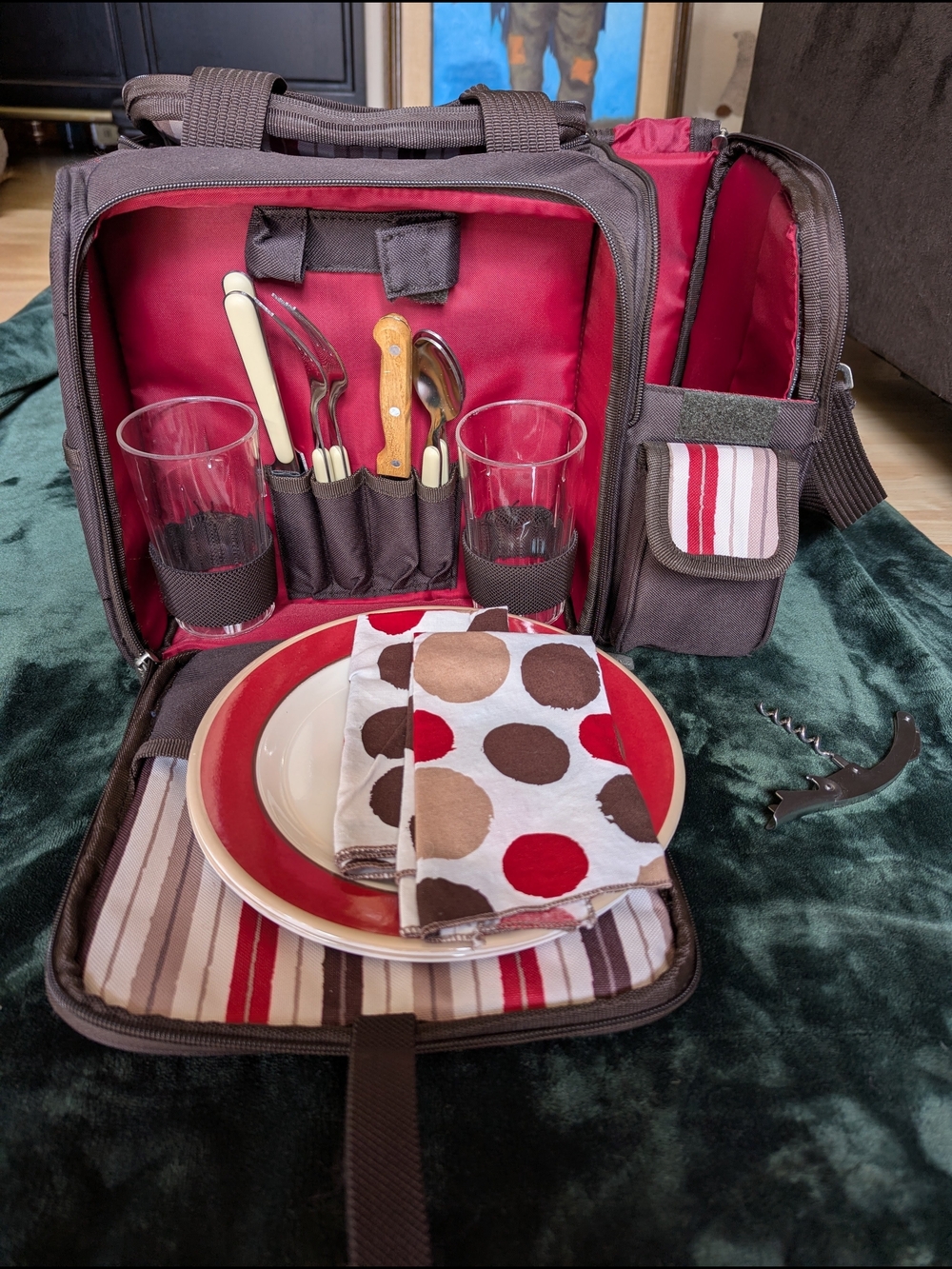 Vintage Picnic Time Compact Portable Picnic Tote Set Insulated Bag Organized Set